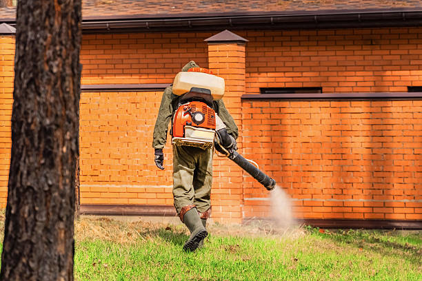 Trusted Termite Control service in Ridgway, CO - Nex Pest Control